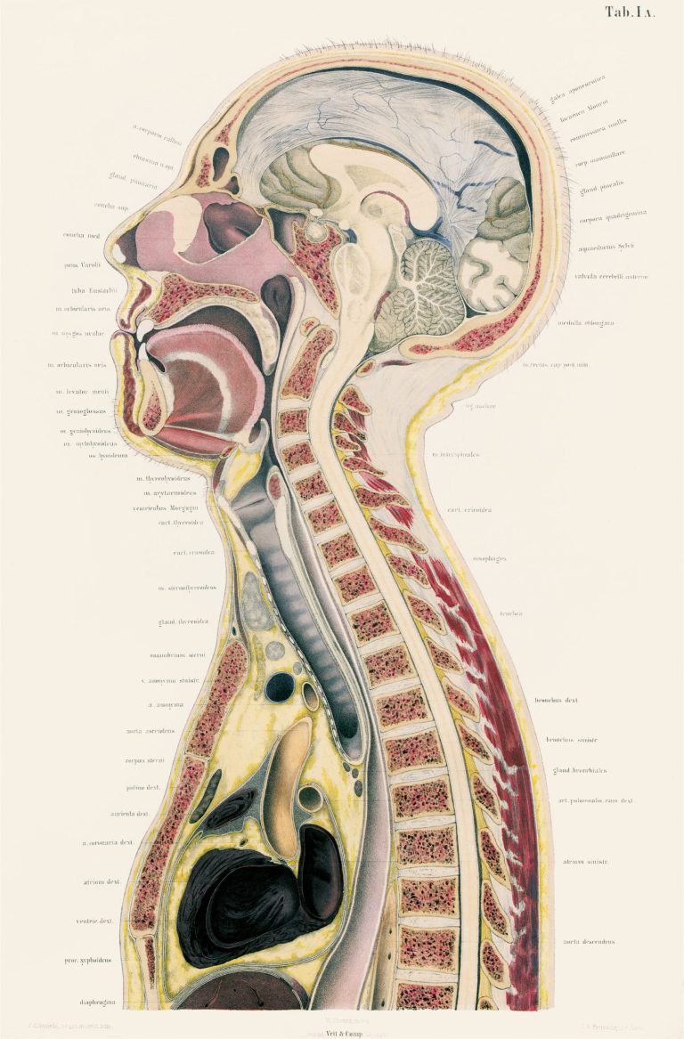 Six Centuries, 700 Scientists, 300 Groundbreaking Milestones: A New Book Examines the Invaluable History of Science Illustrations