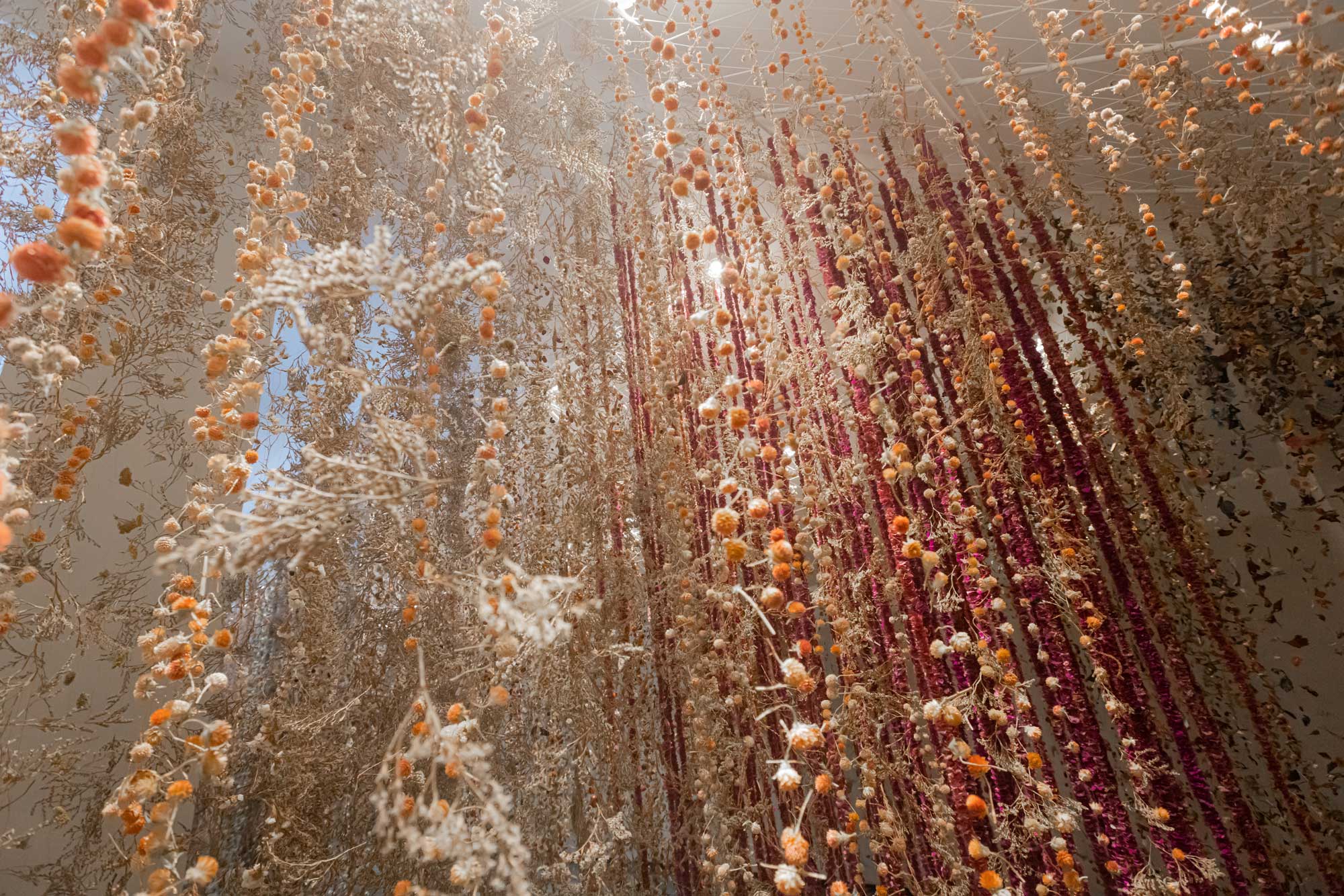 An installation by Rebecca Louise Law made of thousands of fried flowers suspended from the ceiling.
