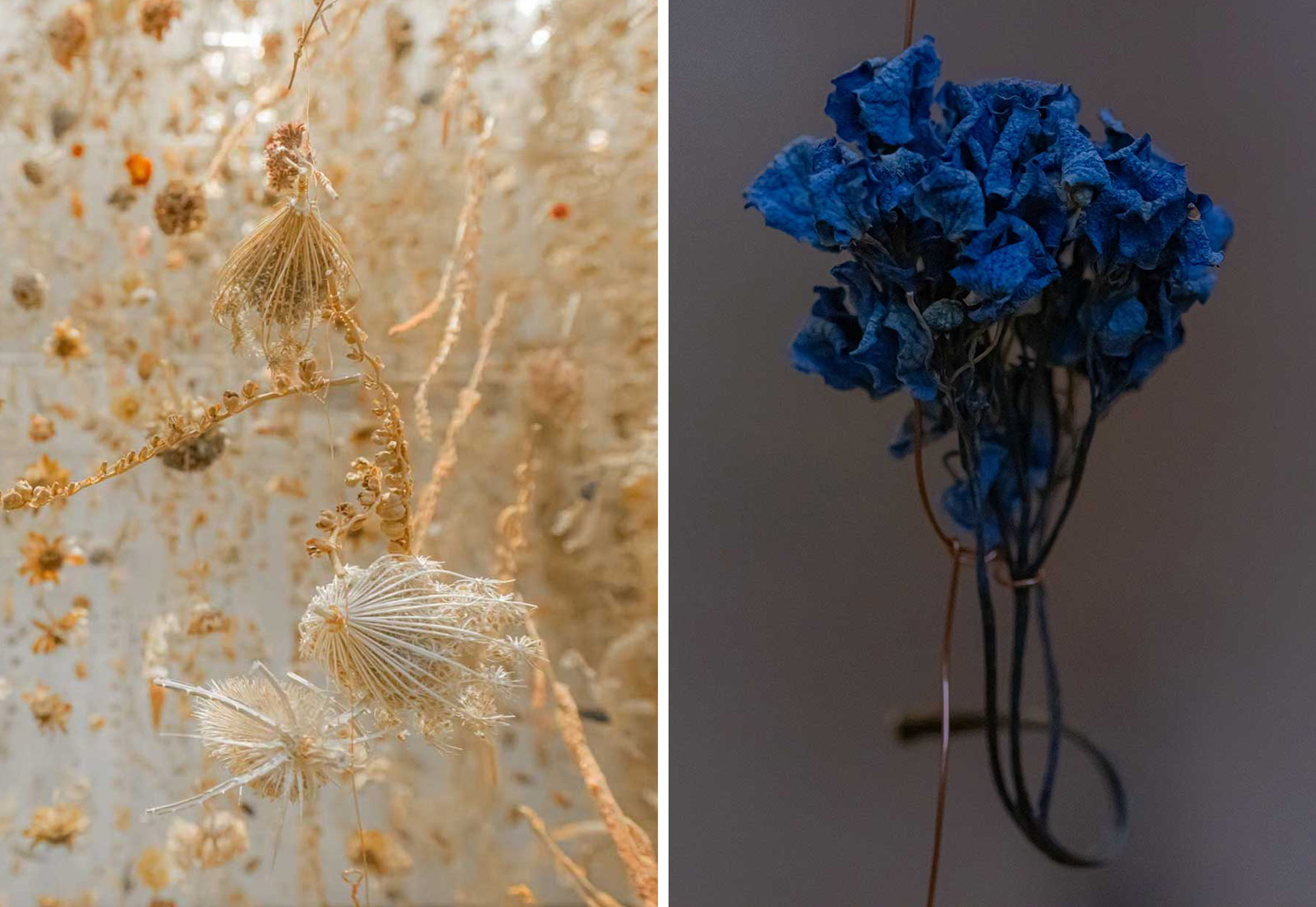 Two detail images of dried flowers.