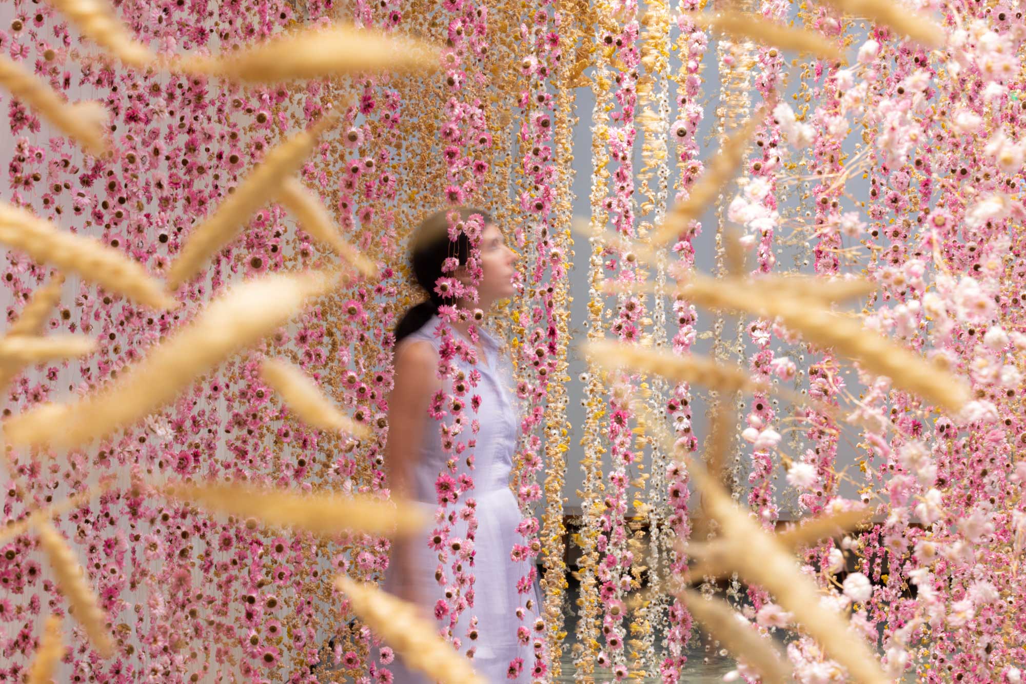 An installation by Rebecca Louise Law made of thousands of fried flowers suspended from the ceiling and a person standing amongst them.